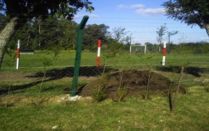 parqueoscarderui-2013