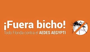 afiche florida contra el aedes aegypti