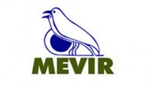 logo mevir