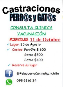 castraciones perros y gatos - 25 de agosto - 11 de octubre